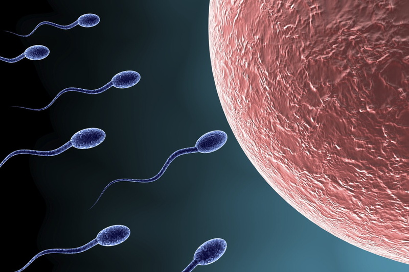swimming, dna, life, swim, 720P, abstract, psychedelic, abstraction, egg, male, cell, vector, man, men, eggs, bokeh, medical