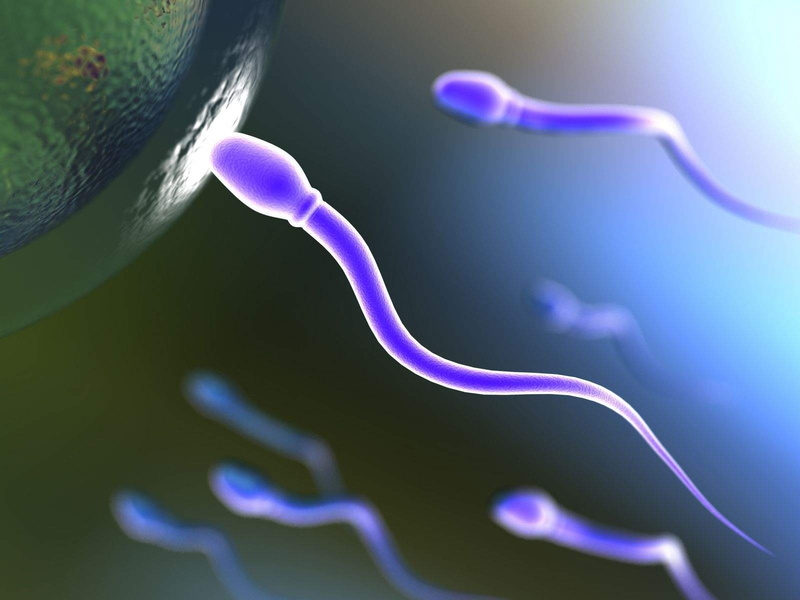 eggs, medical, vector, swimming, cell, 720P, abstraction, dna, men, swim, man, abstract, egg, psychedelic, life, bokeh, male