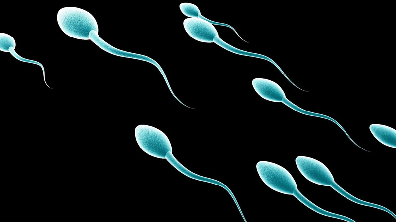 medical, cell, dna, vector, abstract, egg, swimming, abstraction, swim, man, male, bokeh, men, eggs, psychedelic, 1080P, life