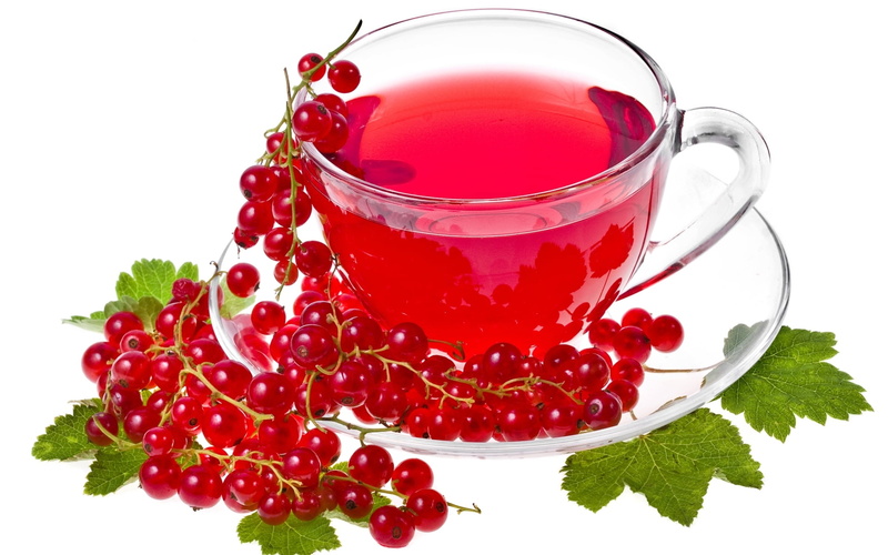 tea, food and drink, fruit, currant, nature, crockery, cut out, still life, red, tea cup, clear, freshness, close-up, glass, leaf, teacup, drink, ripe