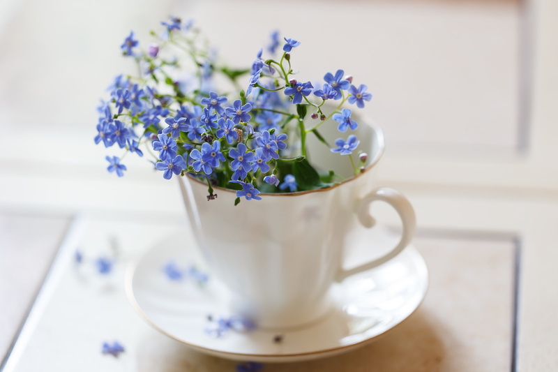 forget-me-nots, Cup, 1080P, blur