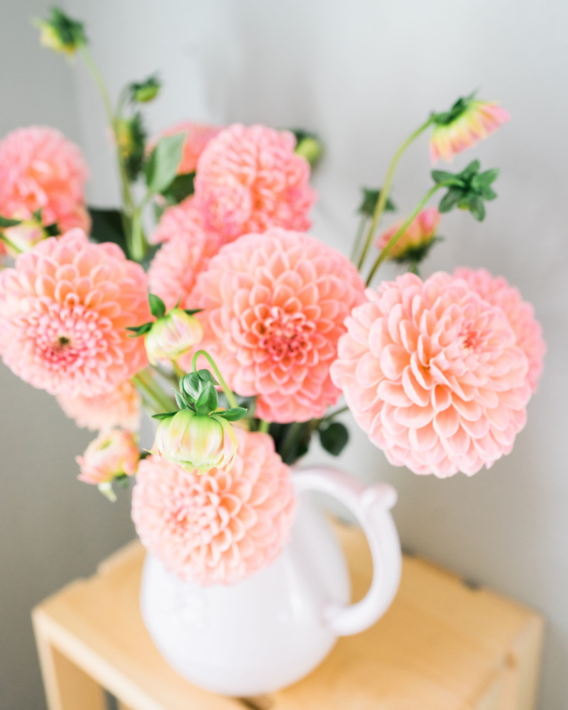 flowers, flowering plant, bouquet, vulnerability, red, vase, tulips, close-up, anniversary bouquet, orange, decoration, baptism, color, the ceremony, growth