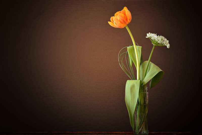 vulnerability, glass, inflorescence, tulip, plant, flower, copy space, deco, blossom, bloom, spring flower, indoors, orange flower, orange blossom, rose
