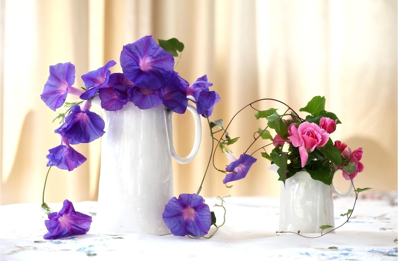 bouquet, wedding, close-up, indoors, flower Head, flower, inflorescence, composition, blossom, beautiful, table, 1080P, fragility, flowering plant, roses