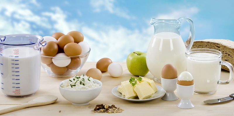 healthy eating, choice, wellbeing, variation, freshness, household equipment, cheese, milk, 8K, glass, egg, bowl, dairy product, still life, breakfast