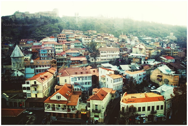 built structure, city, Tbilisi, roof, plant, apartment, building, residential district, Georgia, tree, townscape, building exterior, outdoors, high angle view