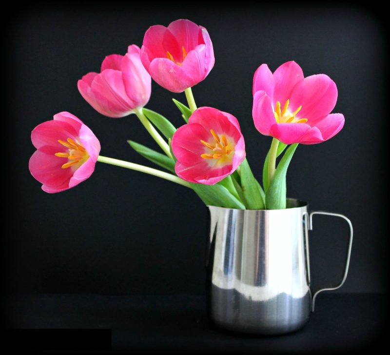 freshness, pitcher, bunch of flowers, springtime, flowering plant, table, Still Life, no People, purple, pink Color, petal, Jug, vulnerability, steel, flowers