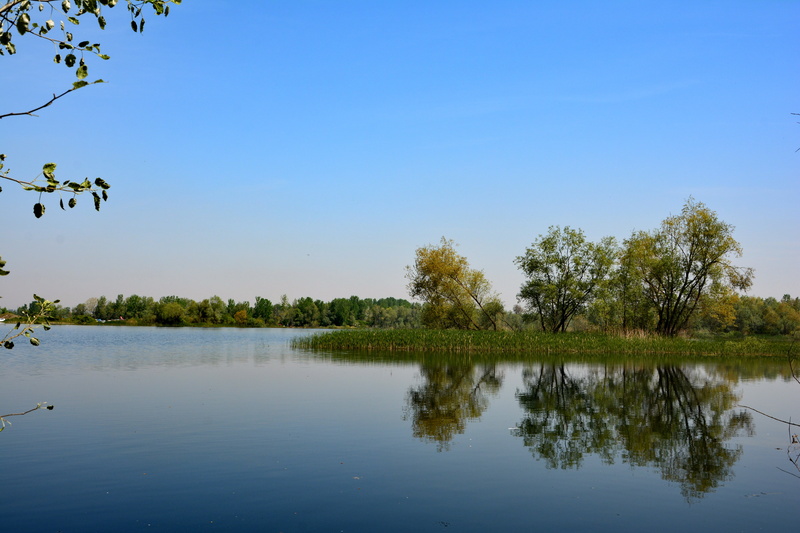 lake, ponds, scenics - nature, plant, blue, green, lacquer, turkey, reflections, spring, non-urban scene, growth, view, forest, no people, tranquility