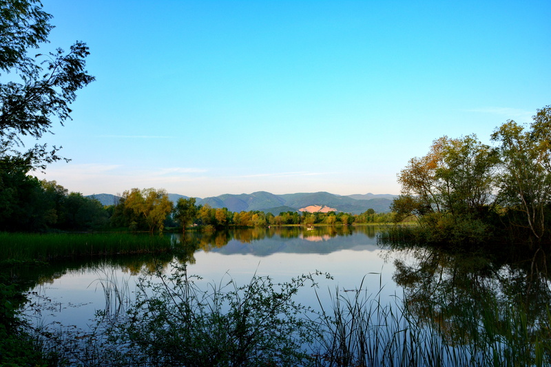 nature, growth, 5K, plant, reflections, waterfront, non-urban scene, no people, tranquility, blue, lake, tranquil scene, beauty in nature, tree, sky, idyllic