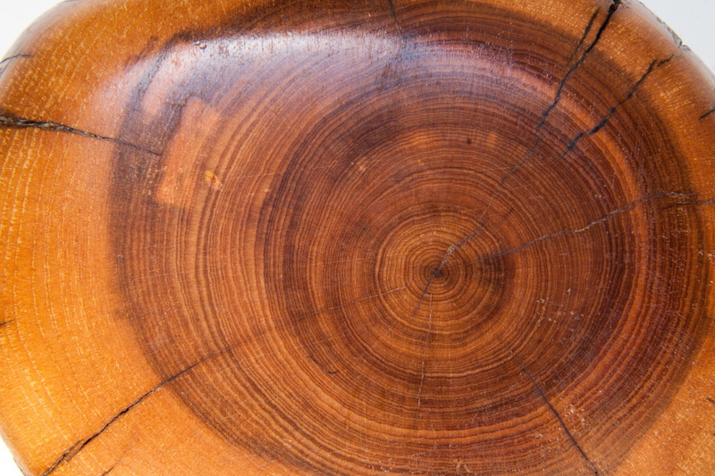 structure, background, nature, wood grain, 4K, ocher, plant, annual rings, wood, natural pattern, cross section, circle, pattern, full frame, shape, backgrounds