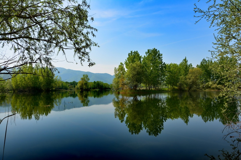 reflections, sky, water, reflection lake, lake, plant, tree, green color, no people, green, scenics, waterfront, reflection, day, idyllic, beauty in nature
