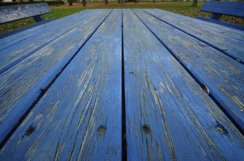 close-up, lacquered, colorful, nature, closeup, gap, cracked, wooden, color, day, direction, empty, high angle view, perspective, footpath, full frame