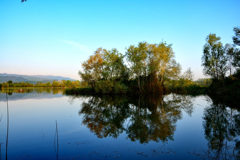 non-urban scene, day, tranquility, view, sakarya, reflections, scenics, water, sky, waterfront, outdoors, tree, summer, growth, green color, forest, ponds