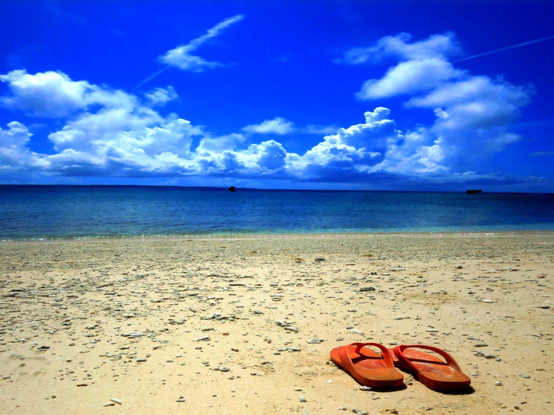 flip, flip-flop, flop, left, beach, summer, 1080P