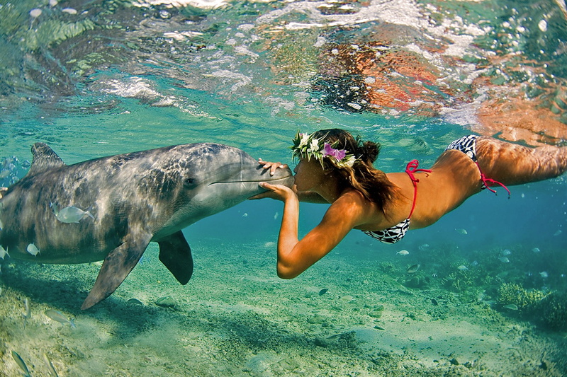girls, nature, sea, 1080P, summer, ocean, women, girl, kiss, females, bikini, dolphin