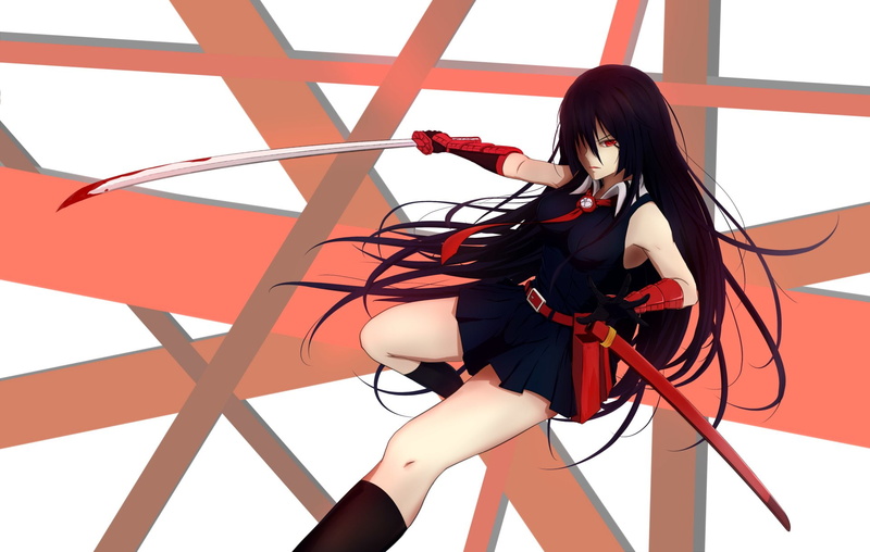 fashion model, Akame ga Kill!, indoors, long hair, women, females, young adult, one person, young women, hair, lingerie, Anime, Akame (Akame Ga Kill!)