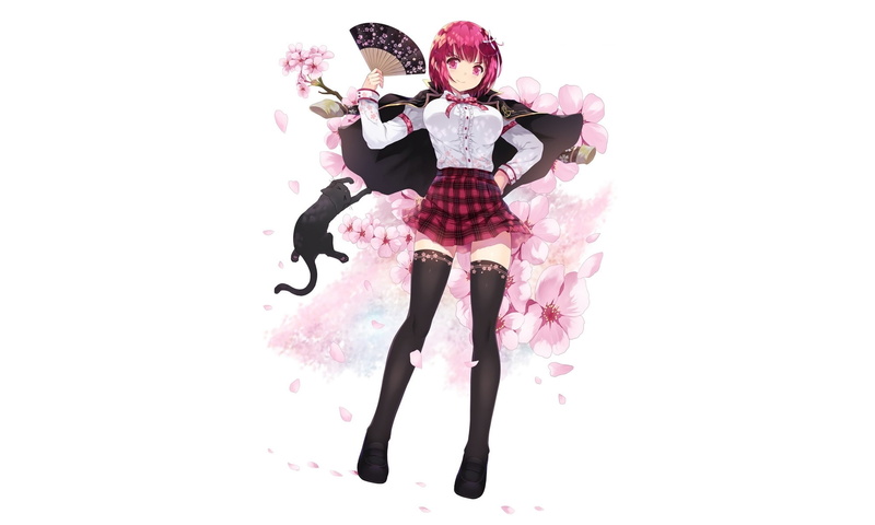 nature, plant, flowering plant, sakura petals, cape, 1080P, pink hair, pink color, cut out, indoors, white background, beauty in nature, young adult, copy space