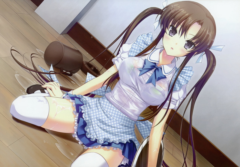 giga, thighhighs, twintails, hime, underwear, wet, sucre, dmyo, bra, meika, dengeki, brown, ayatsuki, waitress, 2K, hair