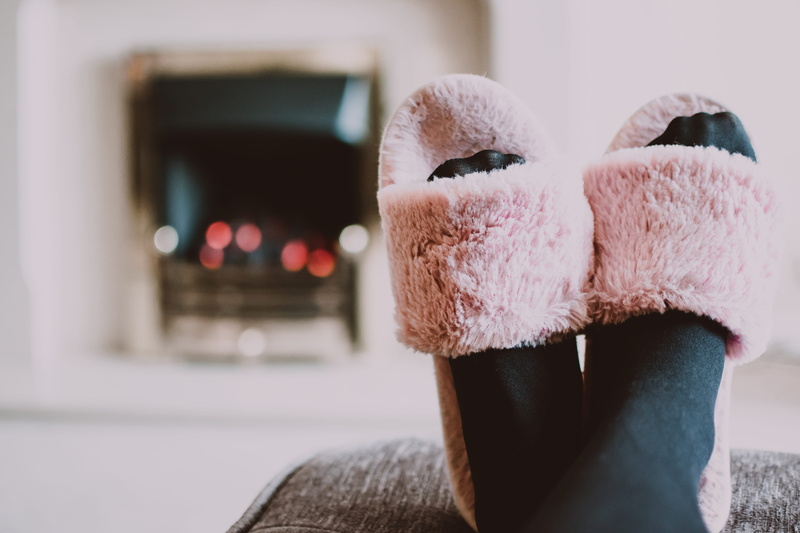 cozy, stuffed, socks, pink, wearing, focus on foreground, house, pink color, domestic animals, no people, close, softness, photography, mammal, toy, animal