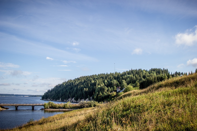 tree, landscape, vacation, sky, grass, nature, cloud - sky, outdoors, water, hohlovka, perm krai, tranquility, tourism, lake, non-urban scene, tranquil scene