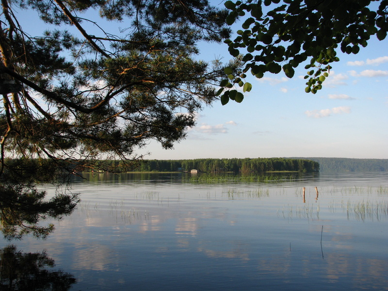 waterfront, lake, outdoors, trees, reeds, scenics - nature, perm krai, kama, bay, water, tranquil scene, sky, clouds, plant, day, reflection, beauty in nature