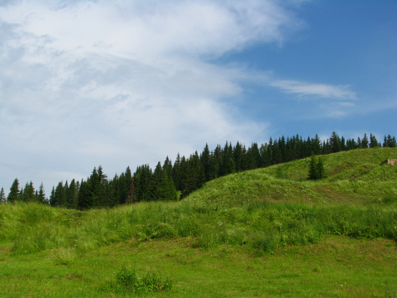 the top of the mountain, 2K, mountain, clouds, day, plant, tourism, shadow, spring, russia, white clouds, sky, forest, vacation, rocks, beauty, tree, grass