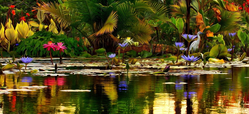 freshness, flowering plant, Lotus, tree, outdoors, tranquility, Pond, beauty in nature, 1080P, leaf, Spring, lotus water lily, nature, water lily, Earth