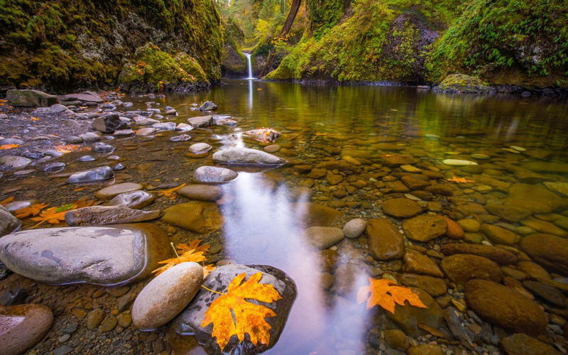  phones, moss, mobile, rocks, leaf, small, waterfall, covered, 1080P, tablet, autumn, yellow, gravel, hd, pond, stones