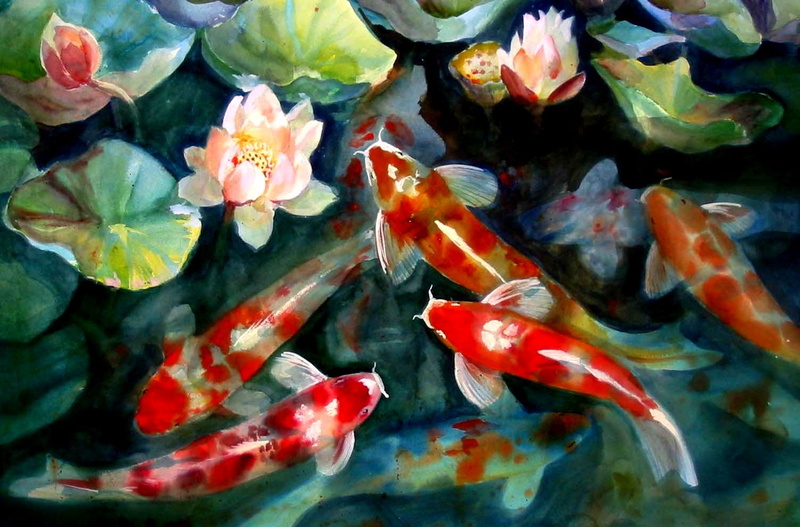 pond, koi, x, art, artwork, hd, FISH, 720P, water, nature, flowers, lotus, flower