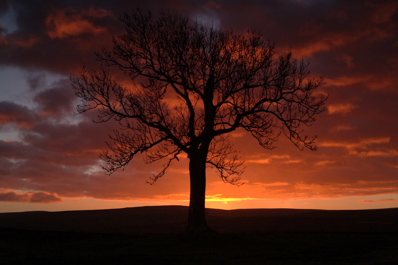 1ds, Pennine, f1.4, Fire in the Sky, LOVE, dusk, Coanwood, 4K, scenics, Slaggyford, Sunset, bare, Shotwell, landscape, Haltwhistle, Autumn, nature, cloud