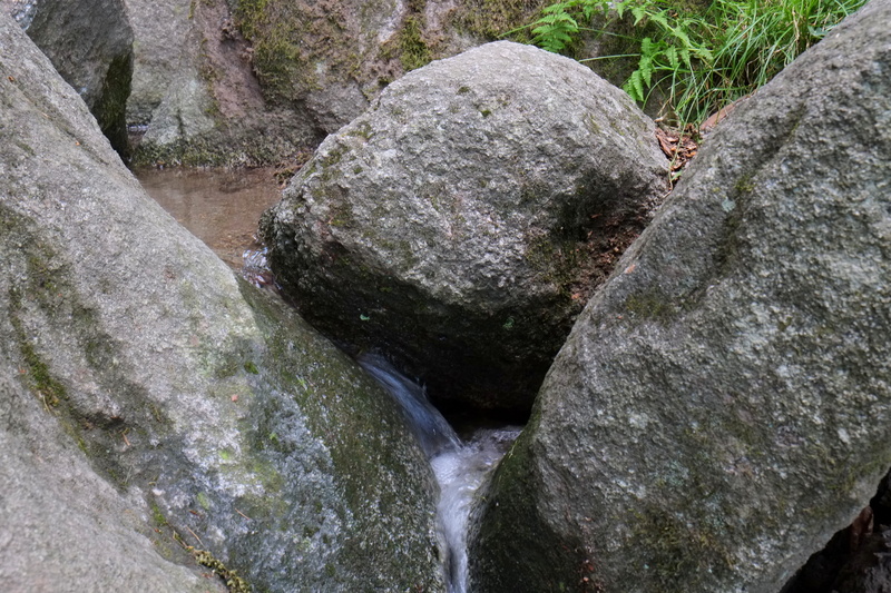 water, solid, great brook, murmur, motion, no people, beauty in nature, forest, idyllic, flowing water, picturesque, mood, bach, 4K, flow motion, plant