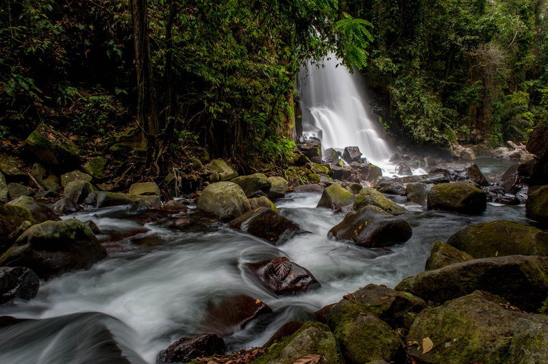 rocks, falling, landscape, nature, DSC, waterfall, forest, waterfalls, green Color, beauty In Nature, water, tropical Rainforest, tree, outdoors, stream