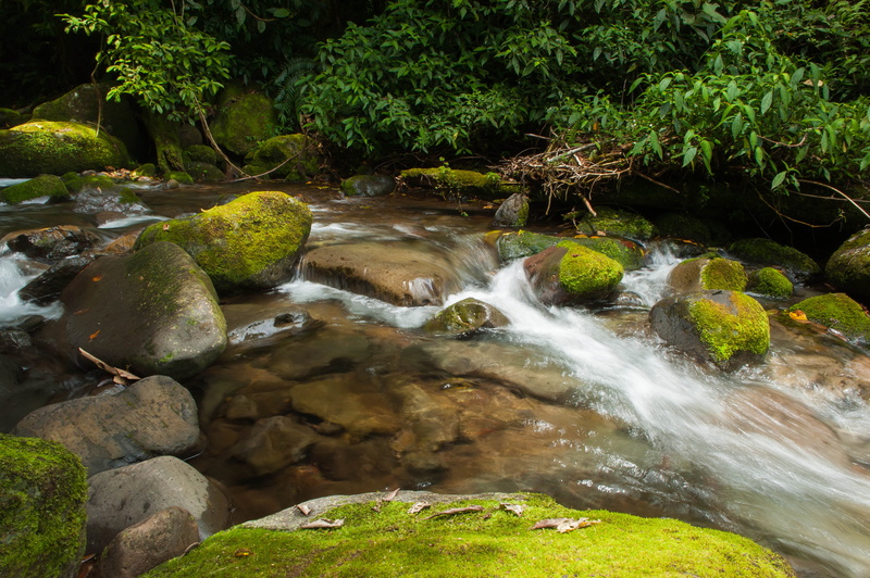 freshness, moss, green Color, rock - Object, stream, outdoors, water, photo, 4K, tropical Rainforest, nature, mindanao, waterfall, scenics, river, forest