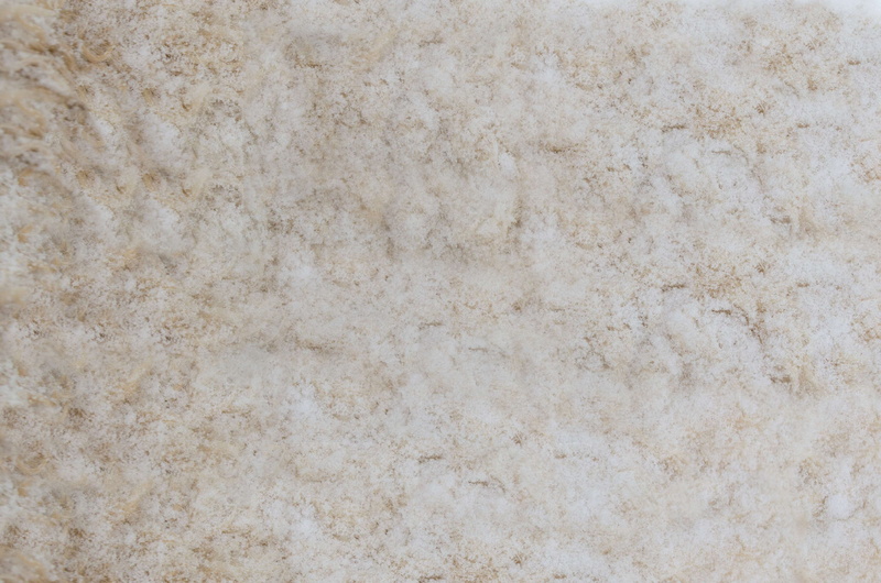 wall - building feature, real, closeup, animal, hide, backgrounds, beige, fur, blank, marble, bears, sheep, dog, built structure, 4K, no people, mammal