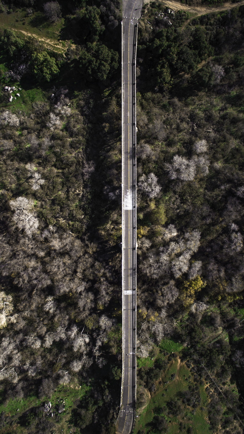 land, adventure, bonsall, tree, dji, river, drive, forest, scenics - nature, connection, green color, go, bridge, mountain, so somewhere, nature, dead tree