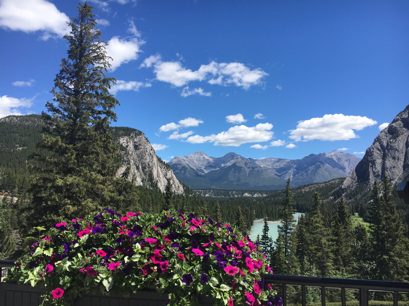 banff national park, banff, plant, freshness, mountains, fairmont banff springs, sky, mountain, tranquility, outdoors, tree, non-urban scene, nature, clouds