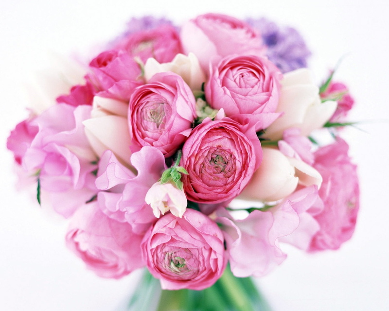 flower Head, no people, decoration, flower, tender, nature, pink Color, pink, event, rose, day, rose - Flower, beauty, blossom, love, vulnerability, tulips