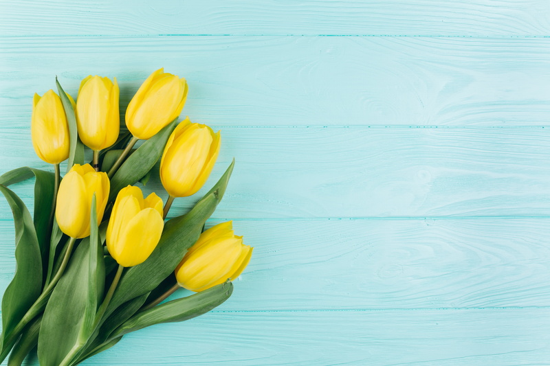 tulips, 5K, wood, tender, yellow, beautiful, spring, fresh, flowers