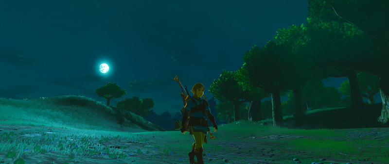 The Legend of Zelda: Breath of the Wild, night, Link, 2K