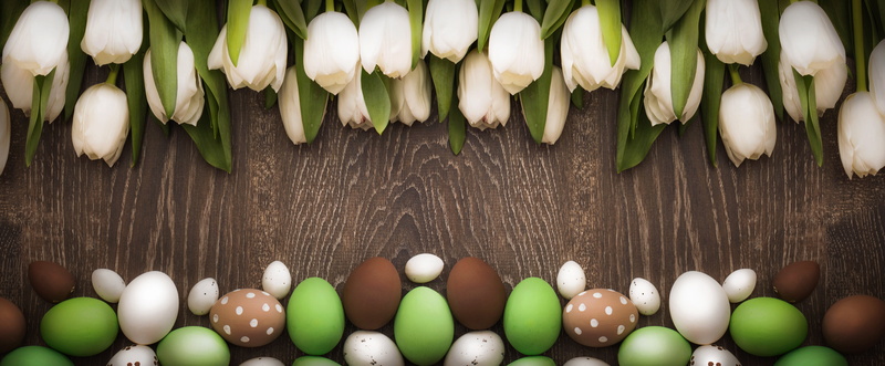 eggs, Happy, white, Easter, wood, spring, 8K, decoration, tulips, tender, white tulips