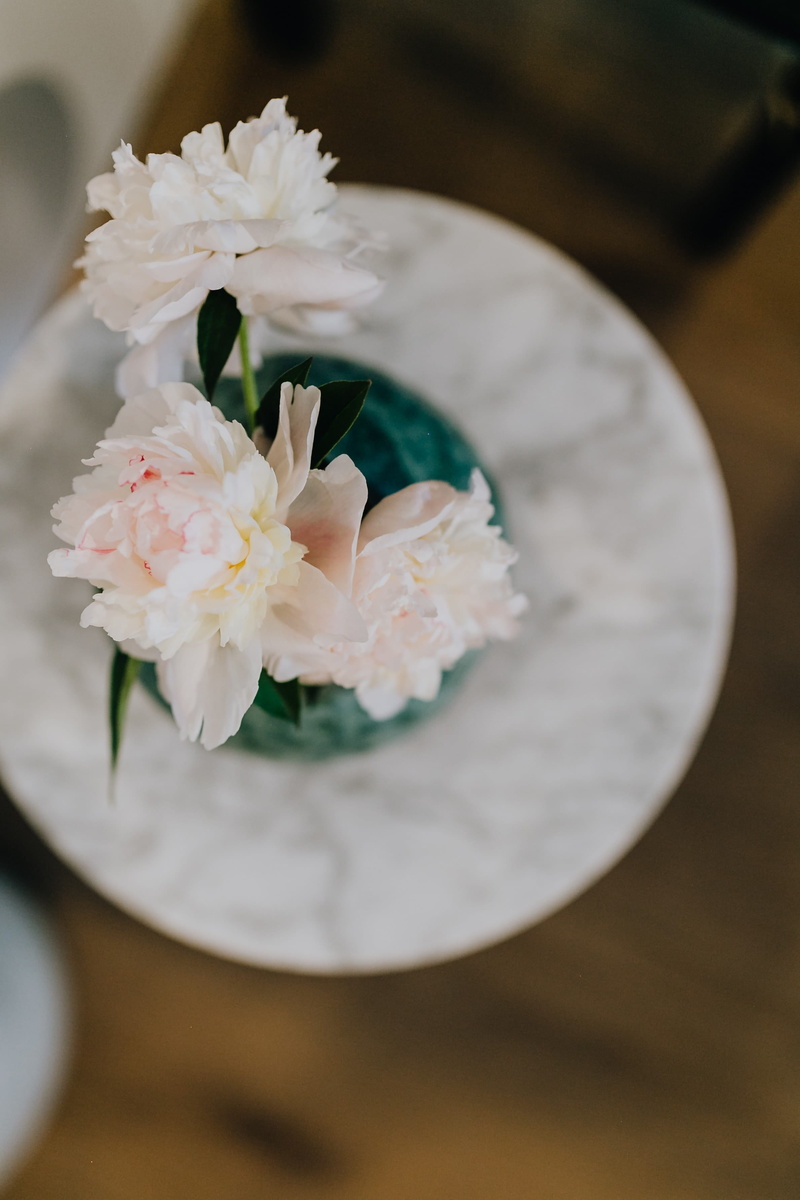 nature, focus on foreground, inflorescence, pink, fragility, peony, vase, selective focus, vulnerability, bouquet, table, close-up, lovely, flower arrangement