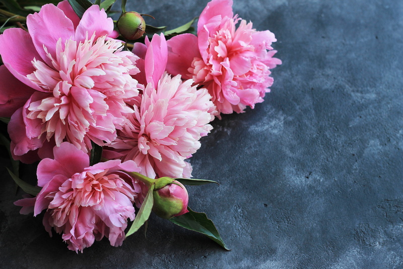 flowers, wood, peonies, pink, 4K