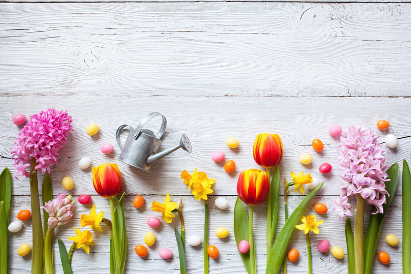 eggs, wood, flowers, crocuses, spring, 5K, Easter, decoration, the painted eggs, tulips, daffodils, Happy, colorful