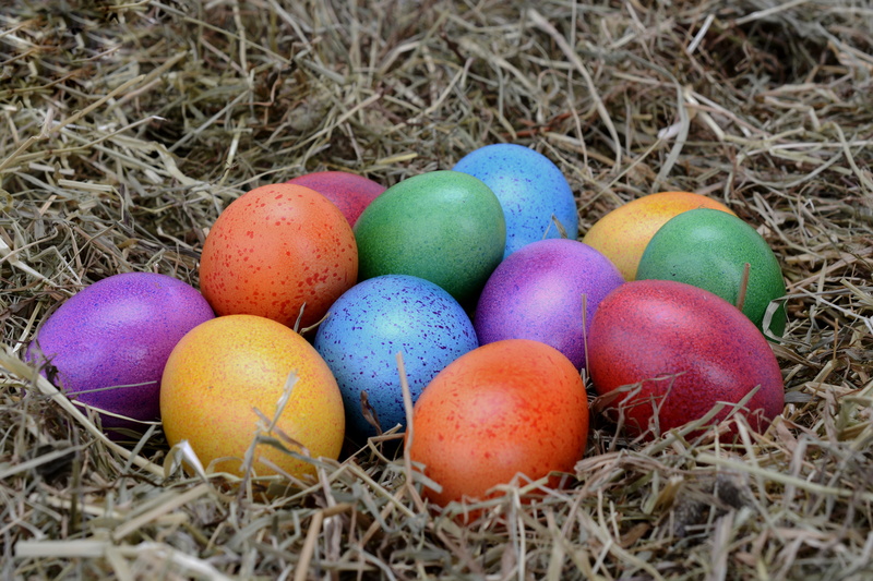 easter greetings, eat, colorful eggs, chicken eggs, day, eggs, close-up, 5K, holiday, colorful, easter eggs, easter decoration, decoration, celebration