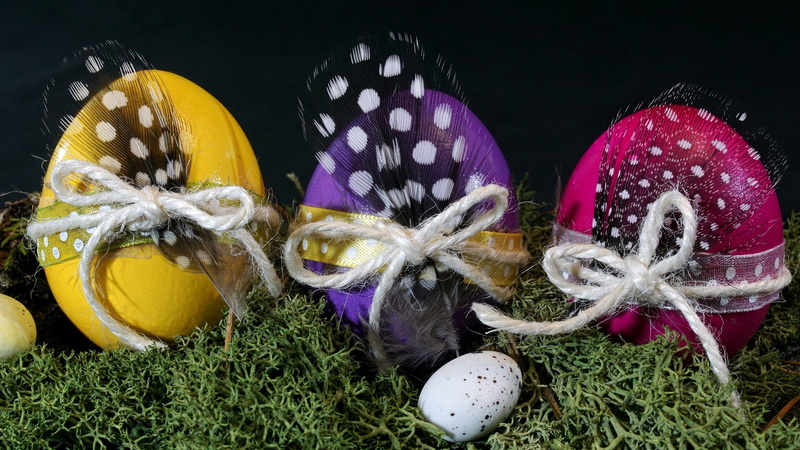 flowering plant, easter egg, choice, happy easter, decoration, 5K, easter, assorted, spring, food, three, still life, decorated, ornaments, colorful eggs