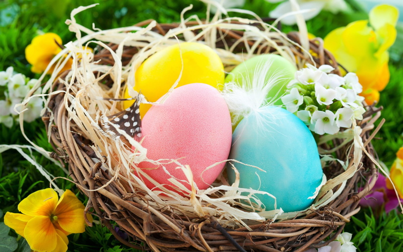 Eggs, Easter, Flowers, Nest, Spring, Colorful, 2K