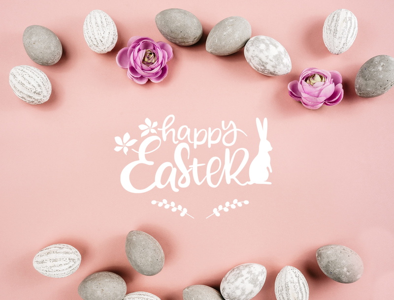 2K, adorable, cute, grey, pink color, hare, western script, positive emotion, decoration, easter, no people, bunny, indoors, emotion, pink background