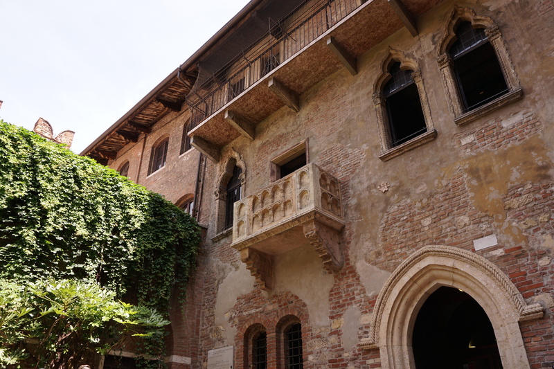 italy, history, facade, balcony, brown, outdoors, plants, building exterior, Verona, travel destinations, concrete, old town, tree, built structure, residential district