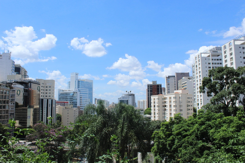leaf, sky, green, outdoors, garden, building exterior, building, residential district, brazil, tall - high, cloud - sky, financial district, 5K, arbour