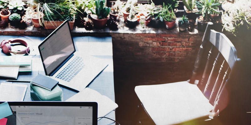 green, wooden, garden, internet, plant, keyboard, mac, sun, sunlight, computer, apple, morning, application, chair, flare, hardware, technology, wireless technology